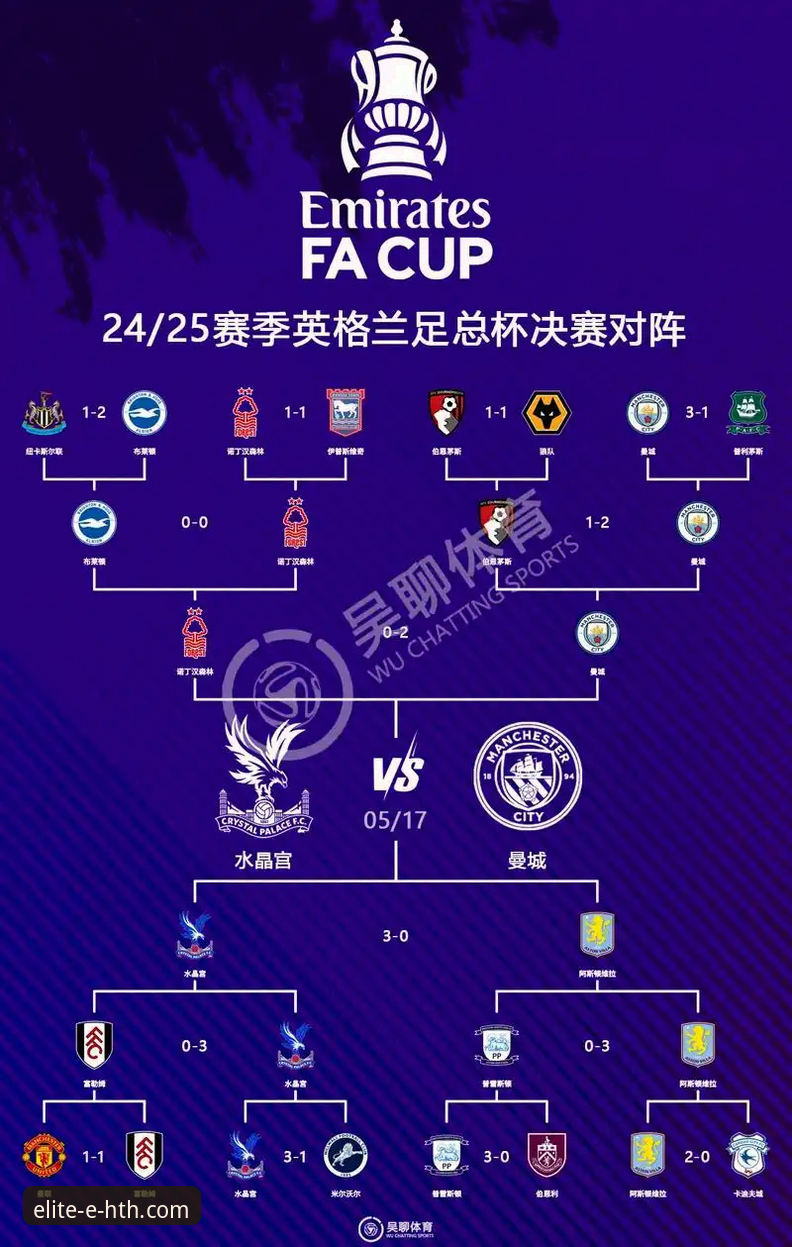 从逆转绝杀到积分榜攀升：曼联2-1水晶宫一役的战术深度解析与平台观赛体验